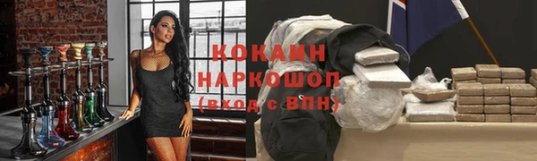 прущие грибы Аркадак